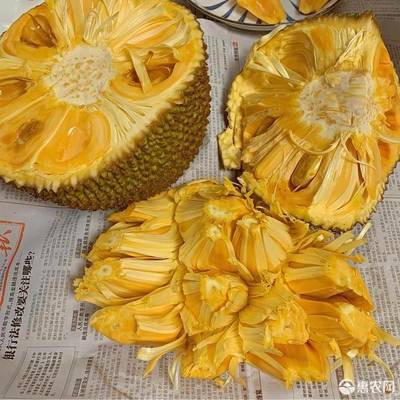 品味熱帶風(fēng)情 越南紅肉菠蘿蜜的甜蜜盛宴